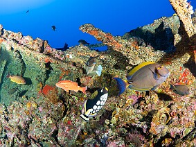 Hai-Siang-4 Hai-Siang
