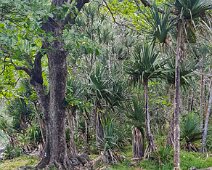 Madagascar Nosy Be Radames 2019