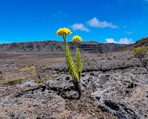 Journée Piton de la Fournaise -1-4 Piton de la Fournaise