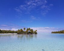 Fakarava-1 Motu sable rose Fakarava sud