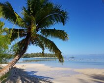 Moorea Plage des Tipaniers