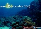 decembre 2015