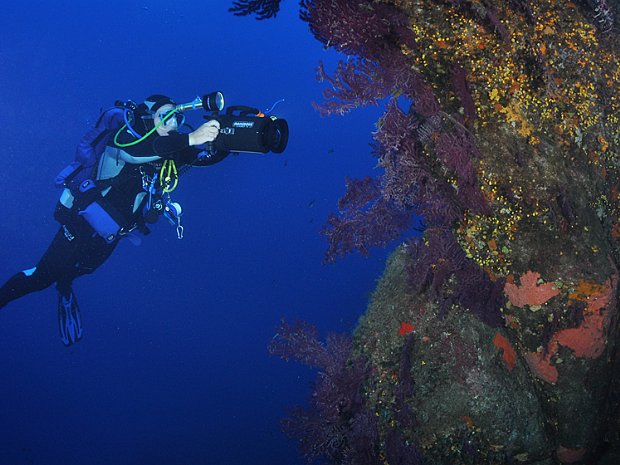 Corse Quelques vidéos sous-marines de Corse